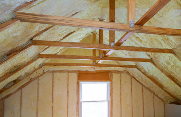 Insulation Replacement Services in Lake Helen, FL